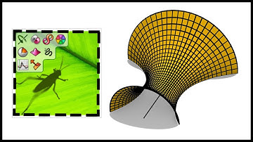 Grasshopper tutorial for beginners (Minimal Surface)