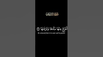 كروما سورة النّازعات ج4#محمد_الفقيه #الصلاة#دعاء#آيات#اكسبلور#مسلم# #الجزائر#قرآن #الجمعة#رمضان#لايك