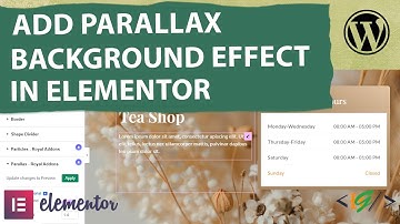 How to Add Parallax Background Effect on Container Background Image in Elementor | Zoom | Scroll