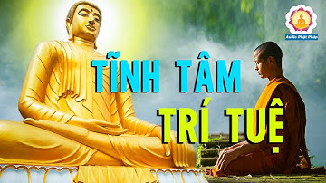 Người càng tĩnh tâm thì trí tuệ càng cao và tầm nhìn càng xa - Audio Phật Pháp