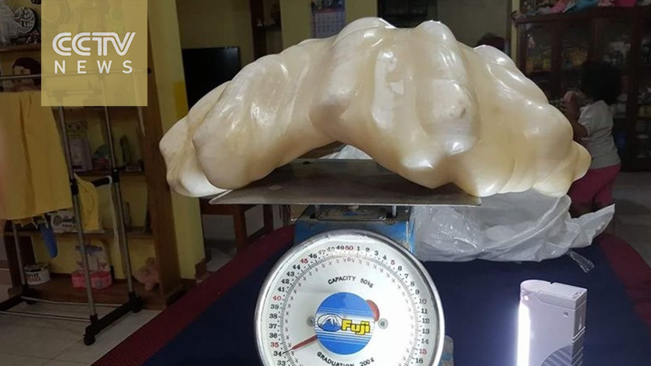 World's largest pearl to be on display in the Philippines