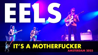 EELS  - It&#39;s A Motherfucker (Live in Amsterdam 2023) 4K