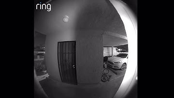 🤯 Girl Enters Property and Does the Unexpected – Watch Till the End!