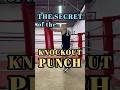 The secret of the knockout punch./Power punch training.#boxing #fight#boxingtraining #viral#ytshorts