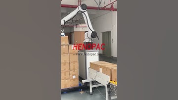 30kg 50kgload capacity cobot palletizer | #cobotpalletizer#cobotrobotticpalletizer#roboticpalletizer