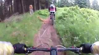 Harz 2012 Eleventh Cut