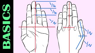 🖐️Hand measurements & proportions for artists: The basics for drawing