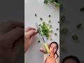 Tesoura para vegetais
