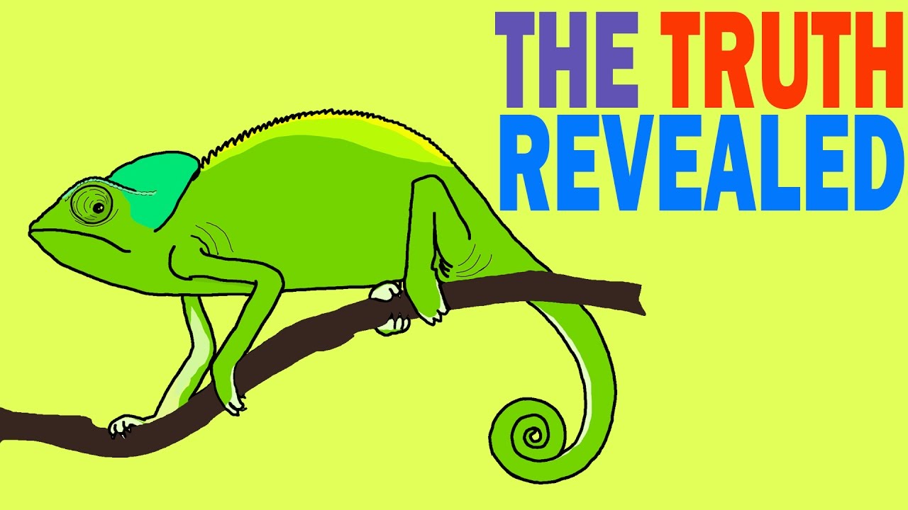 colors that go together Chameleon - the Truth revealed