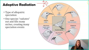 How Speciation Happens - Step 1