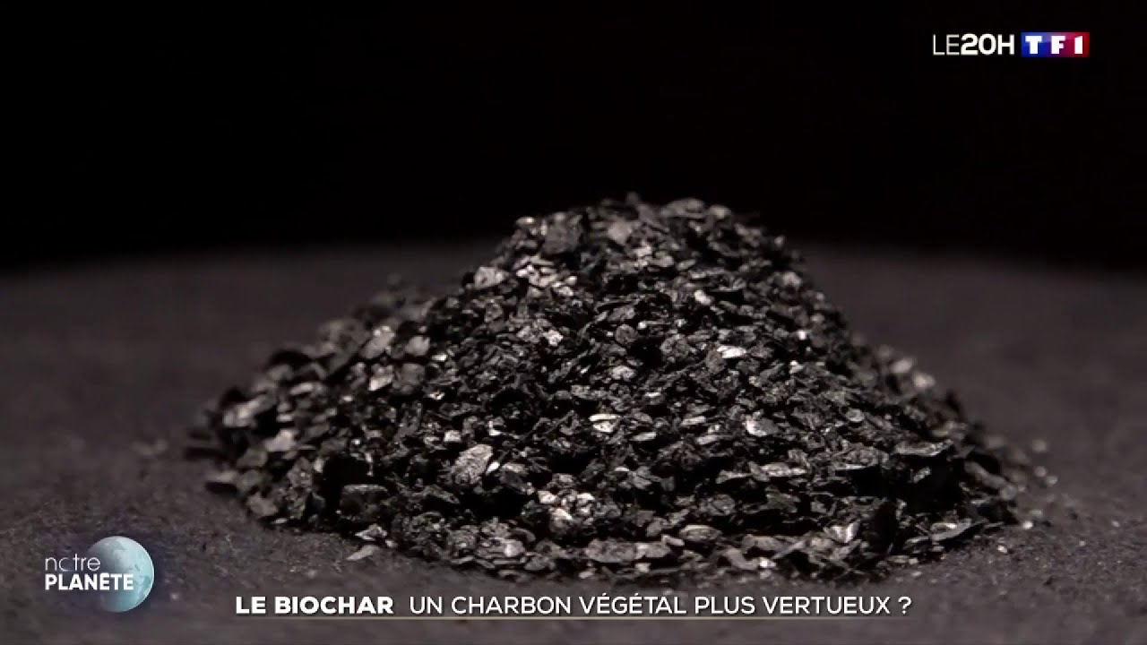 Transformé en béton ou en engrais, le biochar, une solution pour stocker le CO2 ?