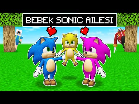 BEBEK SONIC'IN ÇOCUĞU OLDU - 😨 Minecraft