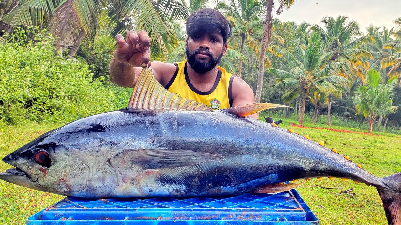 50 KG BIG TUNA FISH Yummy Tuna Fish Pickle Cutting & Cooking Skill