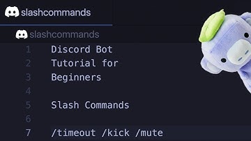 Discord Tutorial for Beginners 2022: Slash Commands & Moderation: Timeout, Kick, and Ban