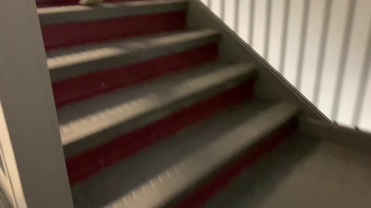 Logos,Pathos,Ethos- Natalie,Emily,Leah