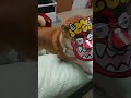 上弦の鬼 #柴犬 #dog #shibadog