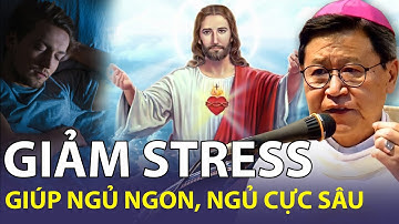 🔴TRỰCTIẾP: Nghe Cha giảng giúp giấc ngủ ngon! May Mắn Hạnh Phúc Đến Ào Ào | Cha Nguyễn Văn Khảm