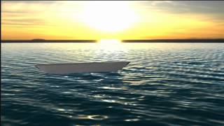 Famous Maya Ocean Test Net Worth