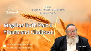 Megillas Ruth Part 2 Yibum and Chalitzah (HaRav Yitzchak Breitowitz)