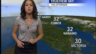 Your Afternoon Forecast: August 17
