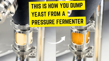 This Is How You Dump Yeast from a Pressure Fermenter