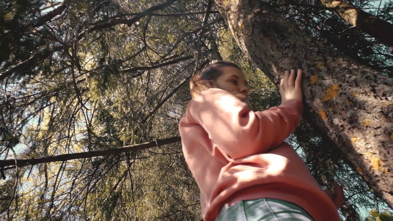 "ForestLera" by mr.Klimat