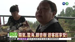 武岫農場霧氣濃宛如置身仙境!