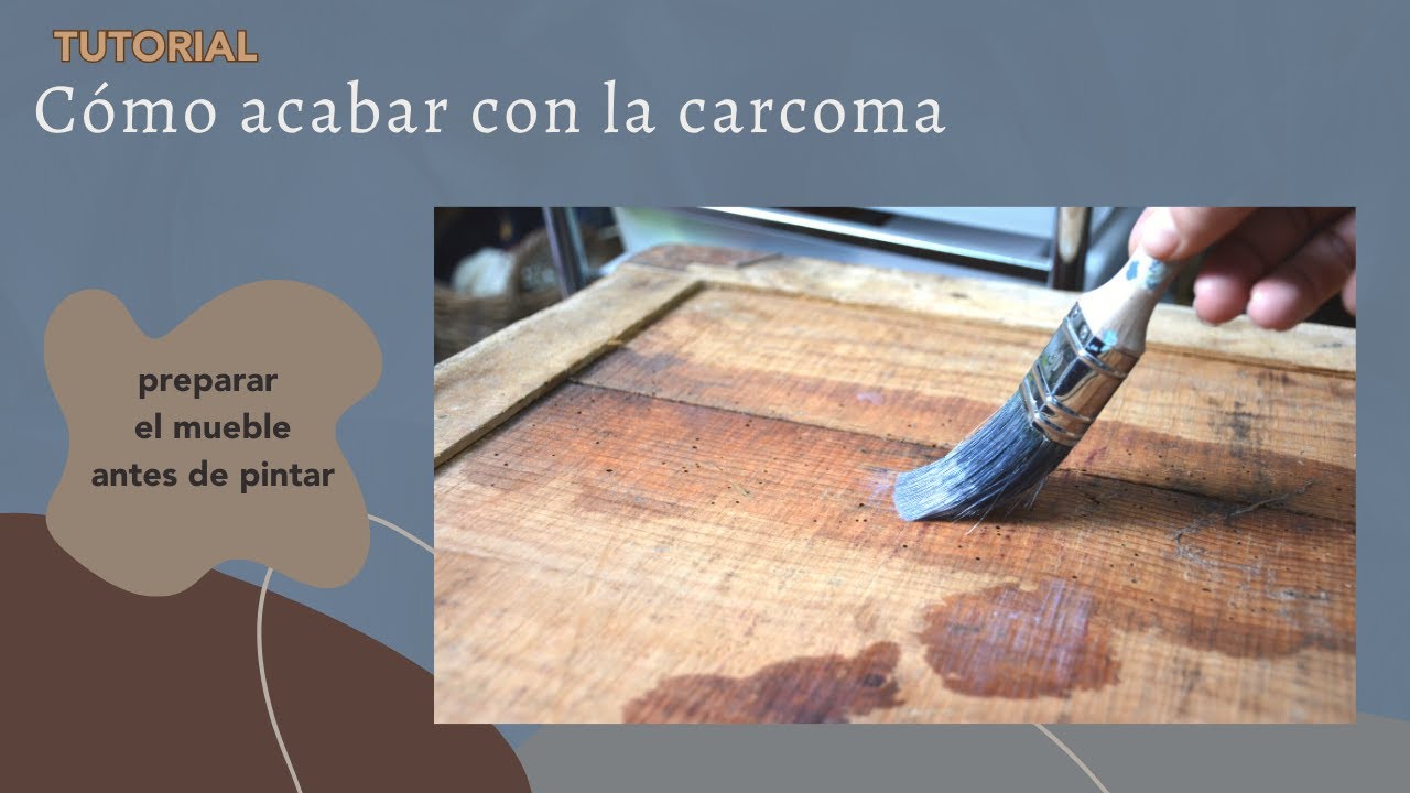 Tratamiento contra la carcoma para la madera 