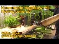 Homemade bandsaw mill Spring tune up