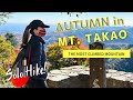 高尾山紅葉 | MT. TAKAO TOKYO DAY TRIP| SOLO HIKE