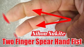 Two Finger Spear Hand (Nihon Nukite) Fist. #HandStrike #MartialArtsTraning #ShortsVideos. screenshot 2