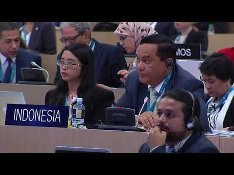 42nd World Heritage Committee 28 June 2018 PM