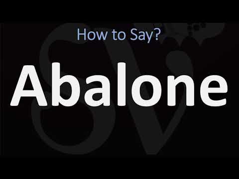 How to Pronounce Abalone? (CORRECTLY)