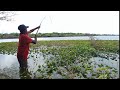 Best Hook fishing|Catching The Small Rohu Fishes|We Used Ricebran Powder To Catch|Unique fishing