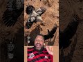 Eu não consigo parar de rir do Atlético Mineiro!