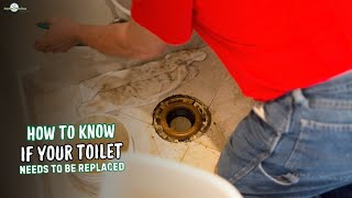 How to Know If Your Toilet Needs to Be Replaced | Signs of Toilet Damage