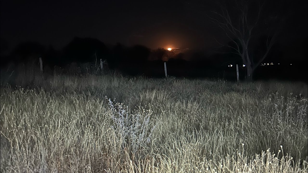 Alguien MERODEABA ESTA LOCACIÓN… era demasiado grande😰😰😰🥶