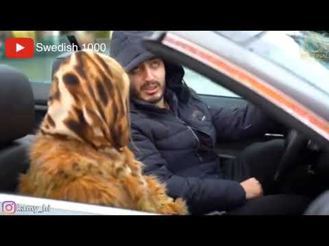 ۲۶ مارس ۲۰۲۳ 