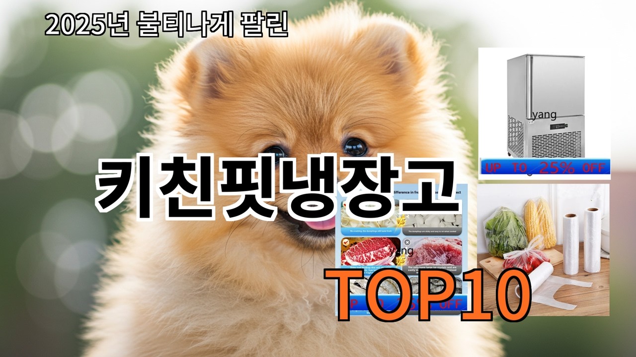 알리 키친핏냉장고 실사용 기준으로 무난한 추천