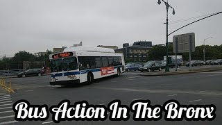 NYC Buses: Bus Action In The Bronx (Bx3, Bx11, Bx13, Bx35, and Bx36 Bus Action)