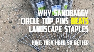 Why Sandbaggy Circle Top Pins Beats Standard Landscape Staples