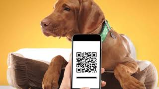 Smart Pet Tag Video Overview