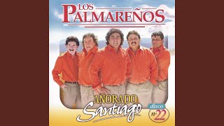 Video thumbnail of "Los Palmareños - Porque Sera"