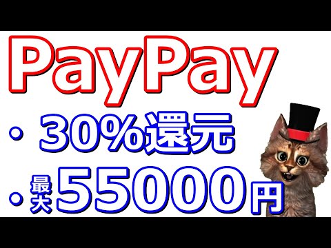   PayPay30 40 還元や最大55 000円相当が貰えるキャンペーン