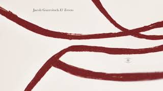 Jacob Gurevitsch - El Terreno (Full Album) - 0308