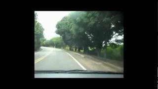 Chico Buarque - Bye Bye Brasil