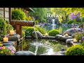 Relaxing Music with Bamboo Water Sounds 🌿 Relieve Stress, Anxiety &amp; Depression Calm Mind &amp; Body
