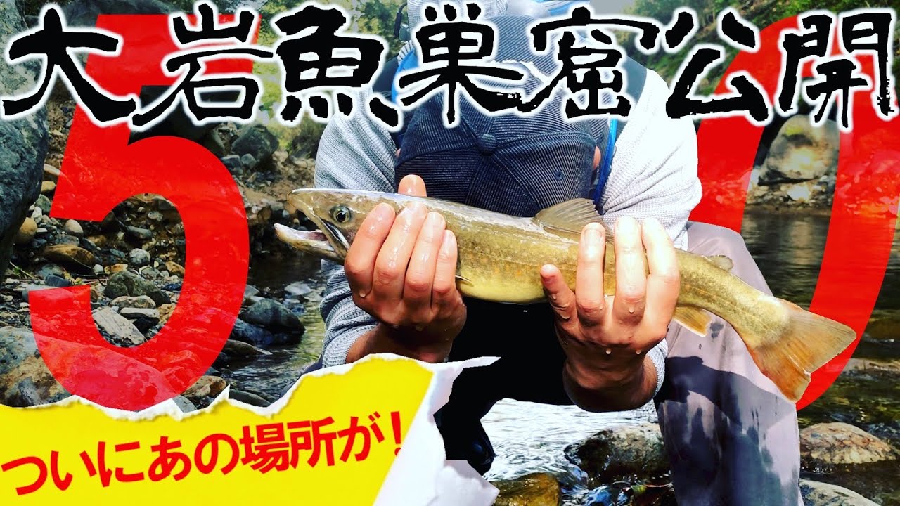 50cmオーバーの渓流モンスターを狙え🐟デカイ奴の巣窟再び！木曽川水系