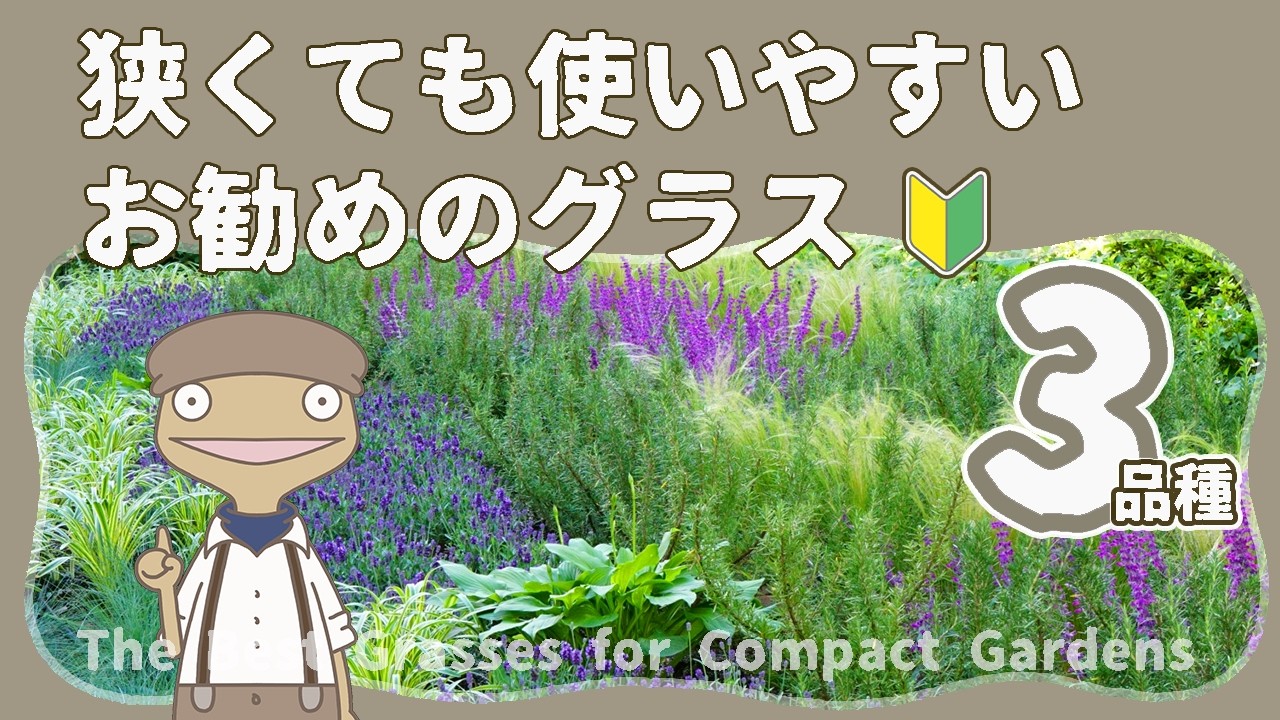 Hardy & OK for Afternoon Sun?] Recommended Varieties for Your 