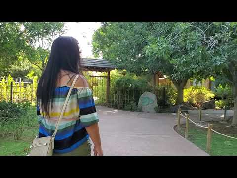 Video: Japanese Friendship Garden hauv Phoenix Arizona